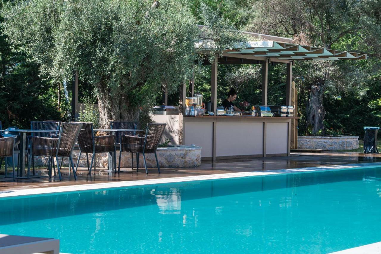 Summer Dream Lefkas Apolpaina Exterior photo