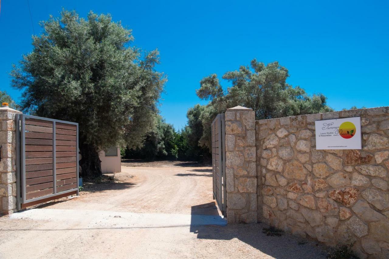 Summer Dream Lefkas Apolpaina Exterior photo